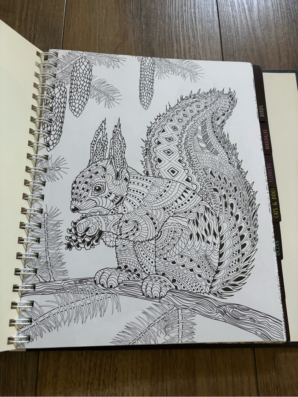 Coloring book - Picture 4 of 4
